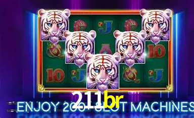 211br: A Experiência de Casino com Jogos de Mesa ao Vivo